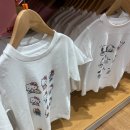 한국지엠둔산바로서비스 | 대전 유니클로 꿈돌이 티셔츠 커스텀, 구매후기 l 대전 둔산점만 가능