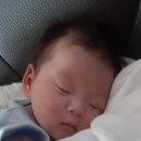 우리집상전 네이버블로그