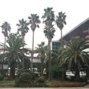 몽돌바당 이미지