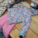 하이원카서비스 | 하이원 리조트 스키장 렌탈샵 살로몬