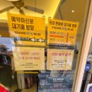 속초 빵지순례 마카오박 오베르망 (원강희 육구방앗간 오픈런 실패)후기