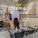 김택화미술관 | 제주 동쪽 실내 가볼만한곳 김택화미술관, 함덕 전시 아트 소품샵
