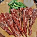 꾸어바666 이미지