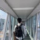 삼다민박 | 신혼여행 사진첩 기록 -1 (파리에 가다!!)