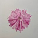 보태니컬 아트 초급 이미지