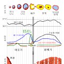 지산경희한의원 | 근본원인을 파악하여 한방으로 건강하게 치료하세요 - 대구 수성구 지산동, 범물동 『경희참한의원』