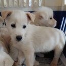 영서로5 이미지