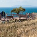 금오도 휴식처 이미지