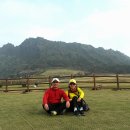 월출봉 Daum카페