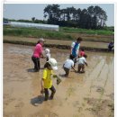 버들농장 이미지