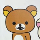 2026 킹누내한 CEN+RAL투어 후기