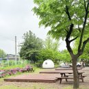 술이홀로(2) | [파주캠핑추천] 별난독서문화체험장_비오는날후기