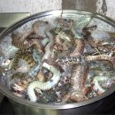 강남사슴농장 이미지