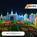 기대 이상으로 로맨틱해! 태안 놀거리 네이처월드 빛축제 방문 후기