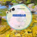 계곡펜션 | 29kg 데리고 서울근교 양평 용문산 대형견 숙소 찾다가 직접 다녀온 계곡 펜션 후기