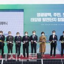 영광 태양광발전소 이미지