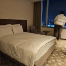 명동호텔 | 명동 호텔 추천 롯데시티호텔명동 솔직 후기 을지로 데이트 후 꿀잠 베딩? (feat.가격 주의)