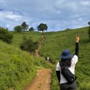 발구덕끝 | 정선 여행 추천, 여름 민둥산 최단코스 발구덕 돌리네와 운무