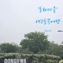 동화할인마트 | [또간다] 제주 구좌 "동화마을" 방문 후기