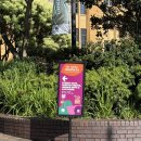 호주면세점용인 | [SYDNEY 🇦🇺] 12월의 호주여행 6일차 : 시드니 시내 서큘러키 (Circular quay) 관광, 아슬란 커피 (Aslan...
