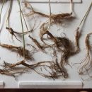 산양농장 이미지