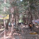 천주산 만남의 광장 이미지