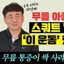 무릎관절에 좋은 근력운동 이미지