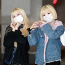 퍼플키스 카카오 검색결과