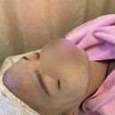 다오 에스테
