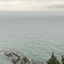 처갓집양념치킨(울진북면점) 이미지