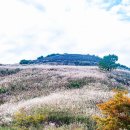 연화2목장 이미지