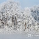눈꽃 연합뉴스