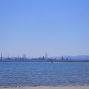 맛있는포항 | 트러플 뇨끼가 맛있는 포항 영일대 맛집 알카노 솔직 후기