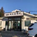 대포칼제비 이미지