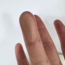 올댓쿨 | 투슬래시포 올 오버 페이스 블러쉬 딤베이지 베베이지 멀멀 미지근 메이크업 블러쉬 추천