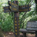 고라니봉 이미지