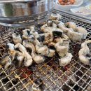 장어의꿈 이미지