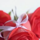 솔메이트 이미지