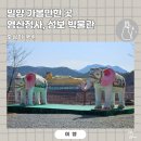 사명로 | 밀양 여행 가볼 만한 곳 영산정사 와불이 유명한 절 성보박물관까지