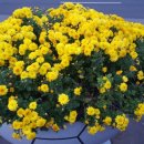 정병공인중개사사무소 이미지