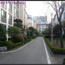 무궁화로75번길 이미지