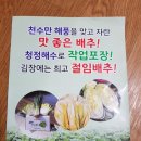 청정절임 Daum카페