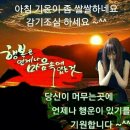 태화꽃집