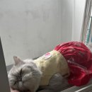 술입구 이미지
