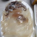 바다생협정릉점