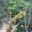 금곡동-17 이미지