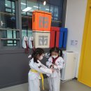 새봄태권도 이미지