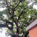 운산리