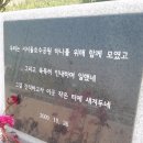 적당히 흥미로운 정보. 서서울 호수공원. 이미지