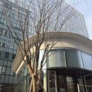 루드베키아 | 흑백요리사 이준셰프 광화문브런치 루드베키아 내돈내산 후기